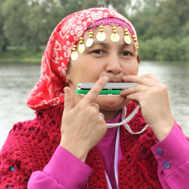 Harmonica for Adult Professional Beginners ABS Made Harmonica Instrument - Image 4