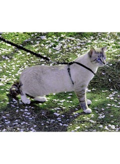 PetSafe PetSafe Come with Me Kitty Harness and Bungee Leash, Harness for Cats, Medium, Black/Silver  - Image 3