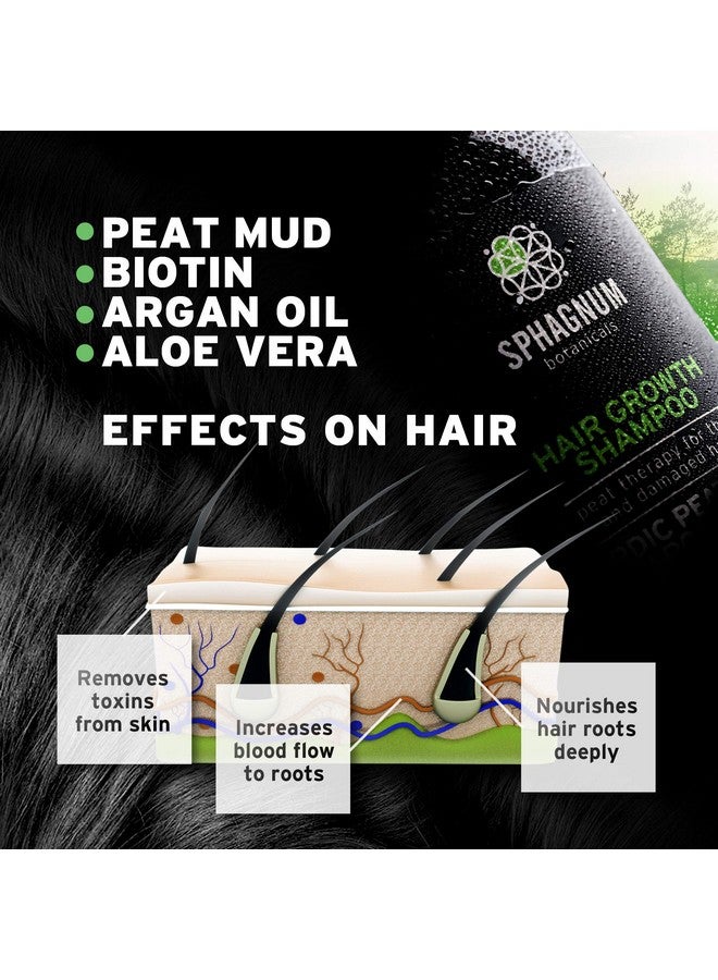 Sphagnum Botanicals Hair Growth Shampoo and Conditioner - Natural Argan Oil Treatment with Effective Peat Mud for Thin and Damaged Hair. No SLS/Parabens. Powerful Organic DHT Blocker. Best for Hair Loss… - Image 5