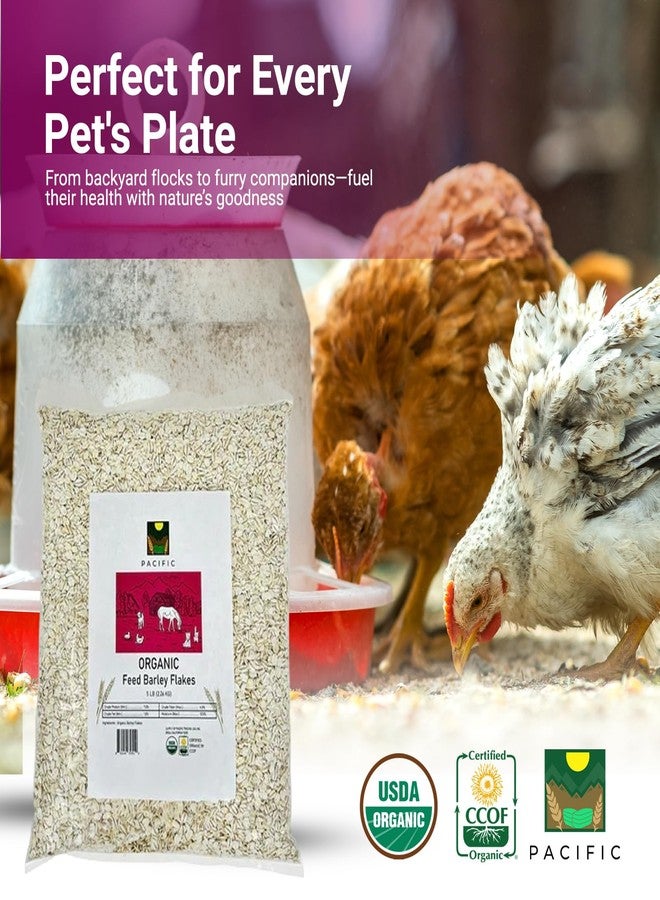 Pacific Petfood Organic Feed Barley Flakes - Barley Flakes Organic | Rich with Fiber & Minerals | USDA and CCOF Certified | Packed in USA | 2Lbs Pack of 1 - Image 4
