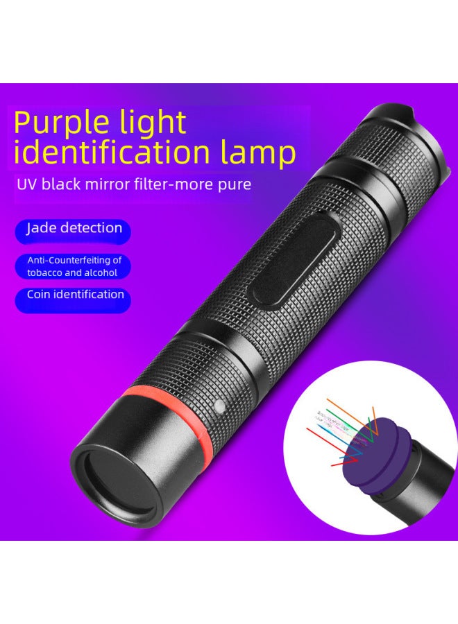 Purple Light Identification Lamp Cat Moss Detection UV Filter 365NM Portable Money Detector Fluorescent Detection Purple Light Direct Sales-Product Specifications:UV 3W Purple Lamp-USB Model  - Image 1