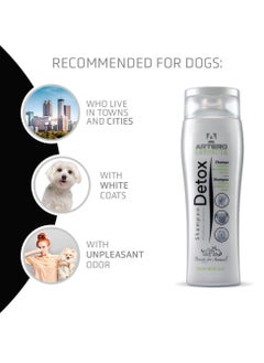 ARTERO Shampoo Detox 250Ml  - Image 3