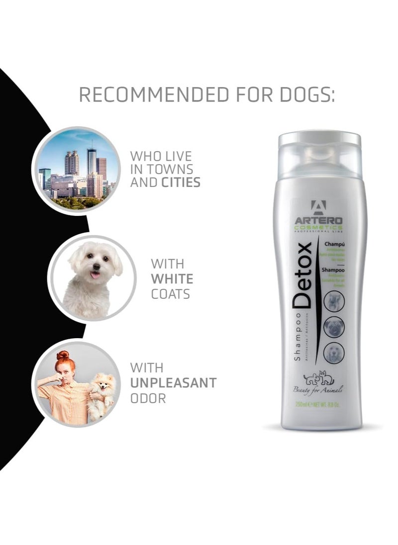 ARTERO - Shampoo Detox 250Ml - Image 1