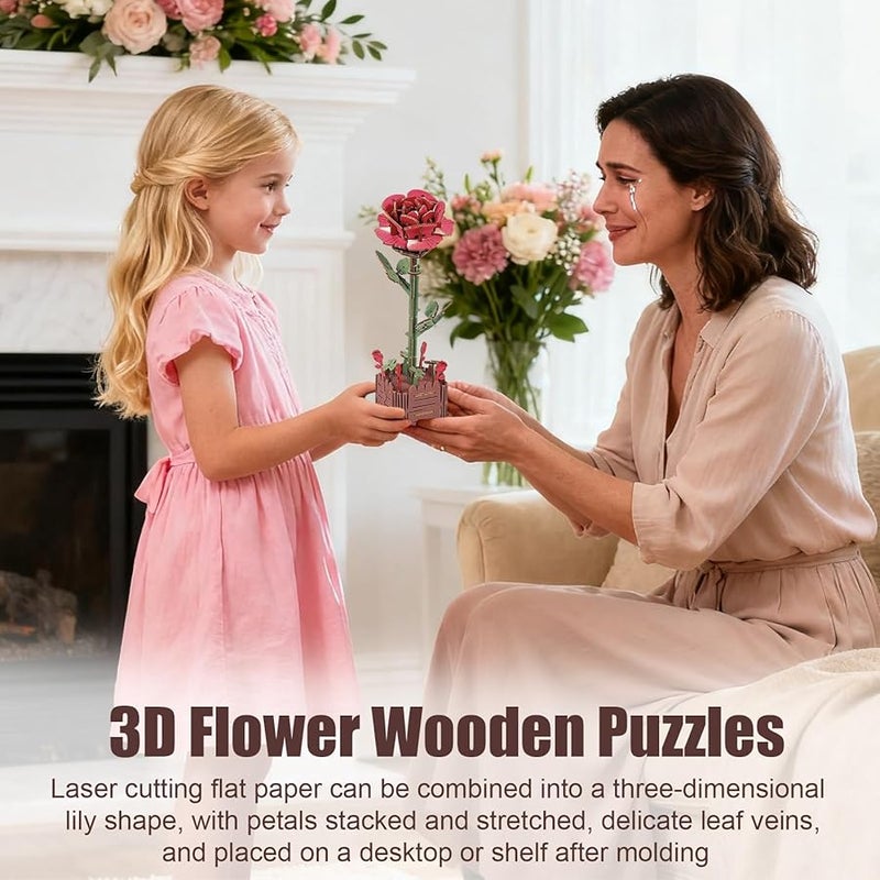 Wooden Craft Model Kit DIY Assembly Beginner Friendly Home Decoration - Image 4