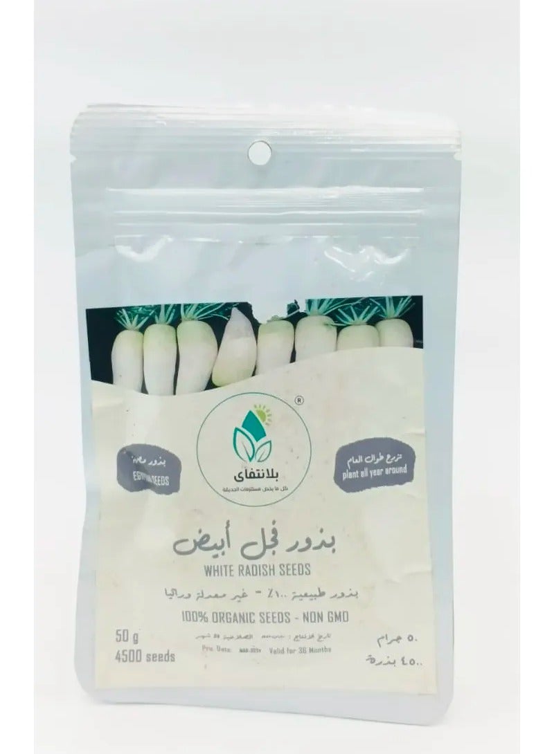 ماركة غير محددة بذور فجل أبيض 50 جم (4500 بذرة) 
