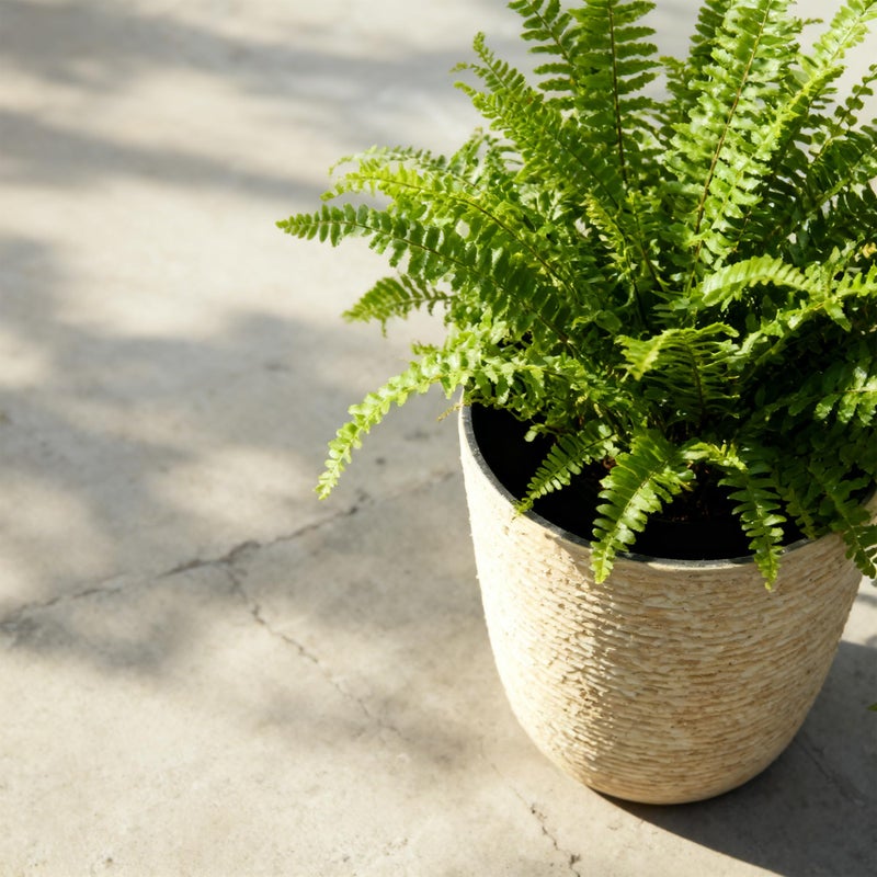 Worth 9 Gallon Tall Round Planters Set of 2-14" Dia x 21" H Stone Finish Flower Pots Indoor Decorative Container Garden Patio Unbreakable Beige - Image 4