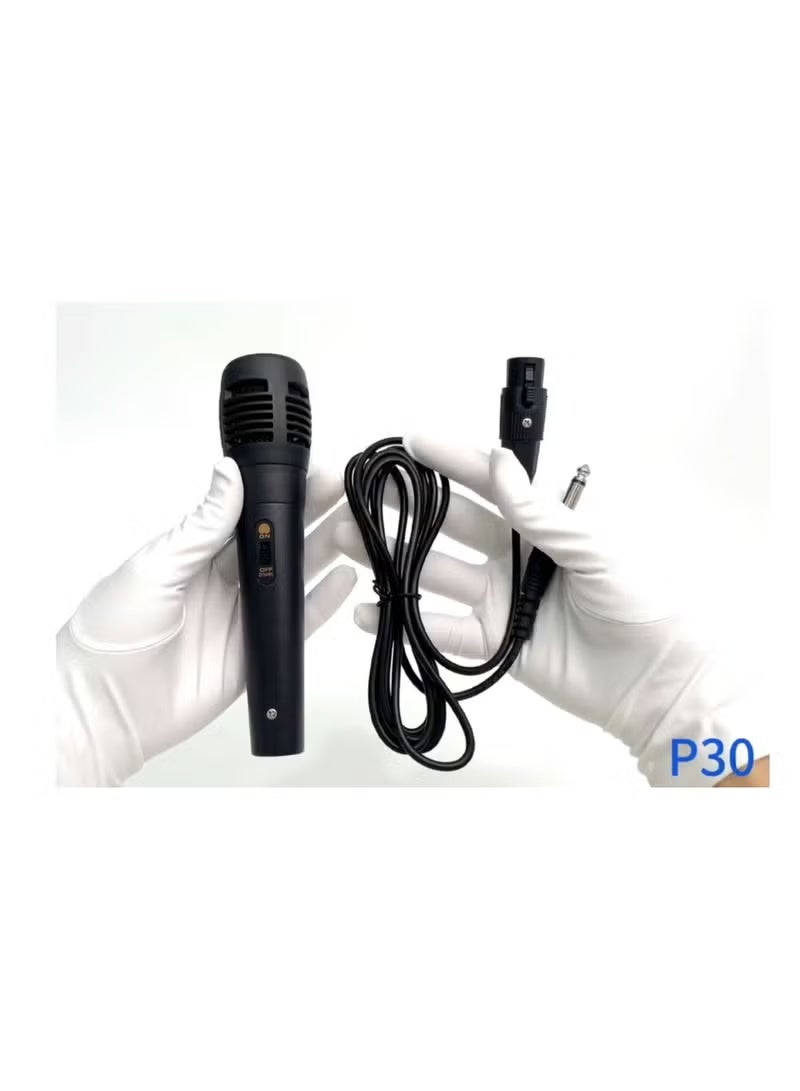 Haino Teko P30 Wireless Bluetooth Speaker with RGB Lights & Karaoke Microphone | 5-Hour Playtime | Deep Bass & Loud Sound | Bluetooth 5.0 | Black Portable Party Speaker for Indoor & Outdoor Use | Ideal for Events, Gatherings & Travel in UAE - Image 2