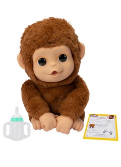 My Baby Monkey - pzsku/Z0D75487EE46D7F3D5745Z/45/_/1727521861/ff8a4fe6-7fb9-4a8b-9461-9dbb791191fc