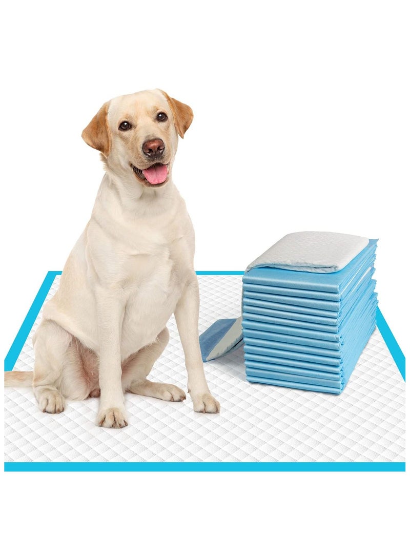 Cherry Medical Supply 10-Pieces Pet Training And Puppy Pads 60 Cm X 90 Cm, Regular Super Absorbent - Image 1