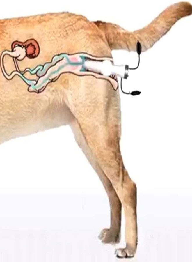 Wadoy Dog Artificial Insemination Kit for 44-88 lb Dogs in Home Breeding Programs - Image 3