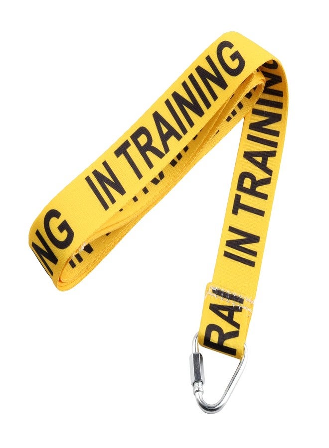 JXGZSO I Need Space/in Training Dog Working Dog Lead Rescue Dogs Anxious Dogs Gift (in Training Leashes) - Image 1