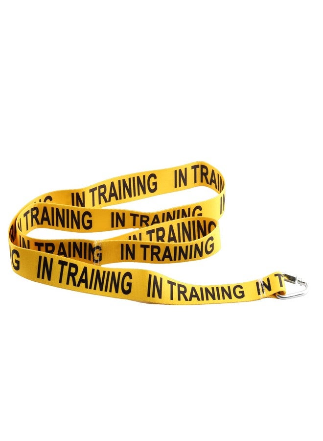 JXGZSO I Need Space/in Training Dog Working Dog Lead Rescue Dogs Anxious Dogs Gift (in Training Leashes) - Image 2