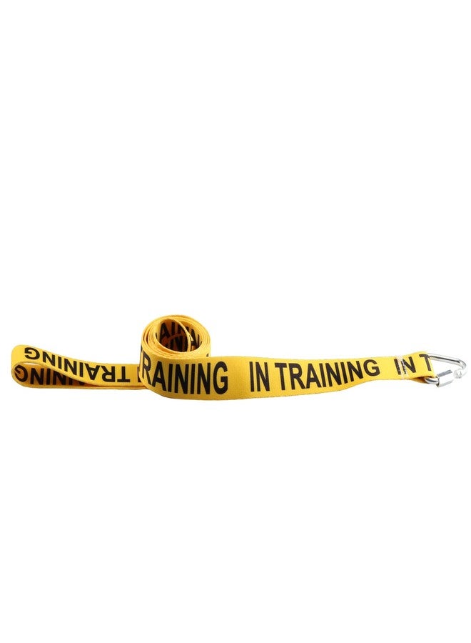JXGZSO I Need Space/in Training Dog Working Dog Lead Rescue Dogs Anxious Dogs Gift (in Training Leashes) - Image 3