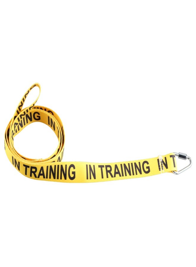 JXGZSO I Need Space/in Training Dog Working Dog Lead Rescue Dogs Anxious Dogs Gift (in Training Leashes) - Image 4