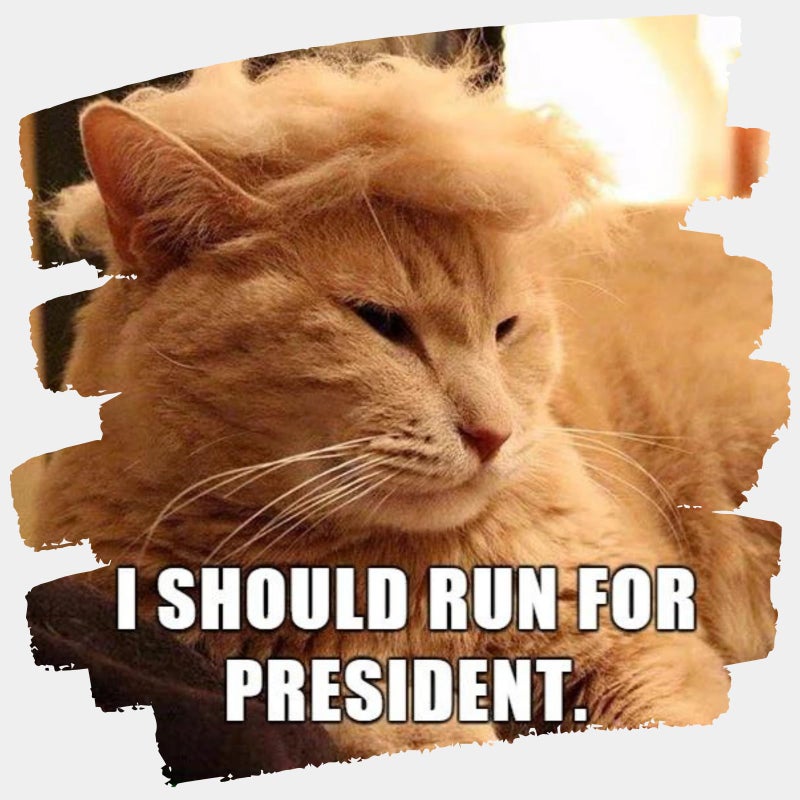 Urnat Pet Cat/Dog Blonde Wig with Tie - Iconic and Playful Toupee Hat, Cosplay Dress Up Clothing Costume Halloween Accessories (RedTie, L) - Image 2