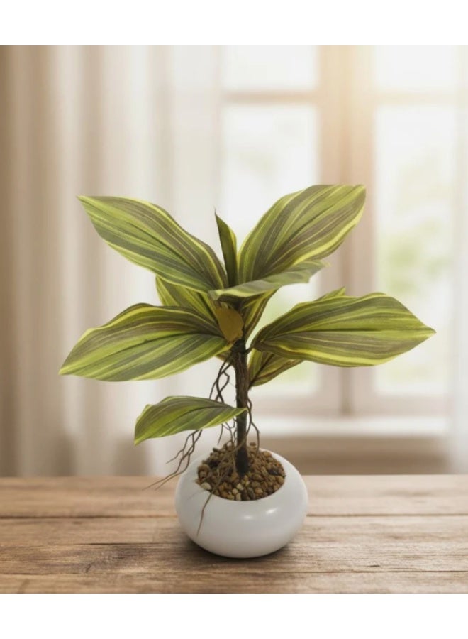 AKDC Artificial Kiwi Plant - Plastic with Ceramic Pot, Exotic Vines for Tropical Home Decor Inspiration, 35 cm,"- Plastic kiwi vines for exotic look. - Image 1