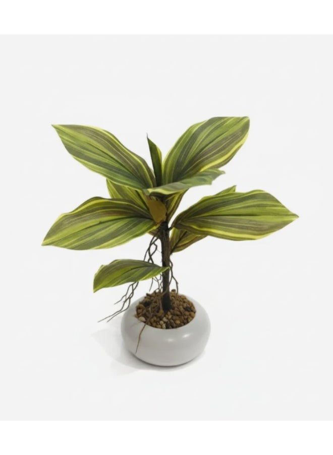 AKDC Artificial Kiwi Plant - Plastic with Ceramic Pot, Exotic Vines for Tropical Home Decor Inspiration, 35 cm,"- Plastic kiwi vines for exotic look. - Image 2