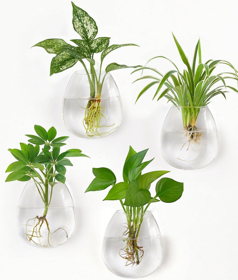 Dahey Propagation Stations Wall Hanging Planters Glass Wall Mounted Vases Oblate Terrarium for Flowers Hydroponics Indoor Plants Home Bathroom Office Decor, 4.7" W x 5.1" H, 4 Pack - Image 1
