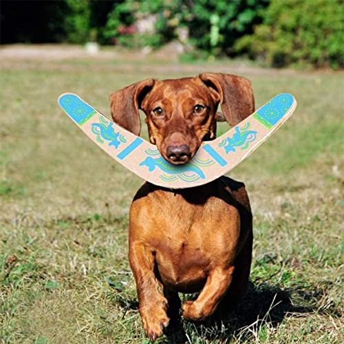 Inborntrait Boomerang for Kids 2 Pack, Australia Style Wooden Handmade Boomerangs, V-Shaped Returning Boomerangs for Ages Above 10 Years Old Kids and Adult (Blue and Light Brown) - Image 4