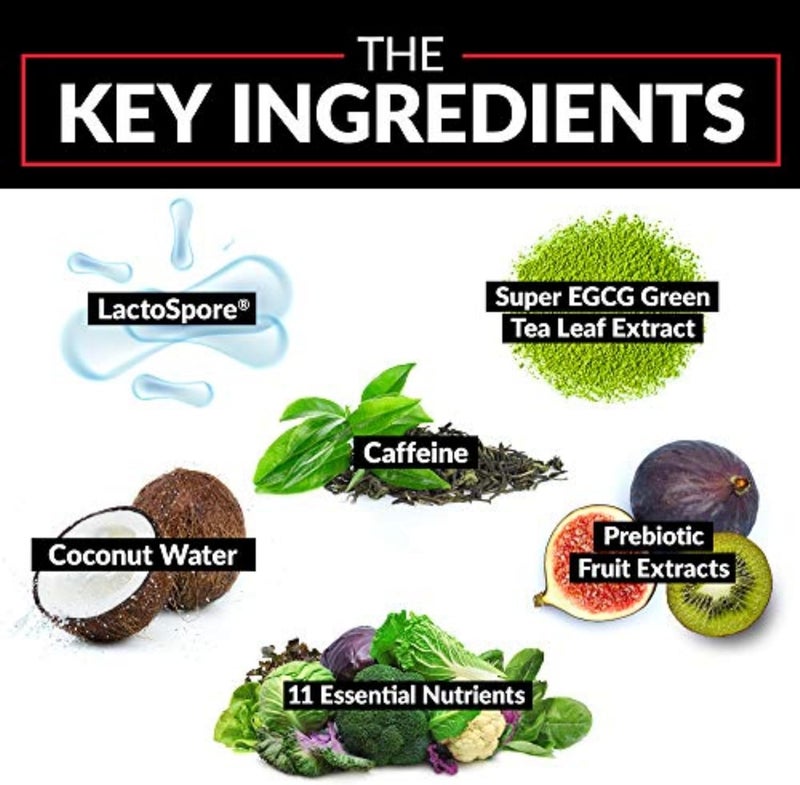 FORCE FACTOR ProbioSlim Weight Loss Essentials Complete Daily Digestive Health and Weight Loss Probiotic Supplement for Women and Men with Electrolytes and Green Tea Extract 120 Capsules - Image 4