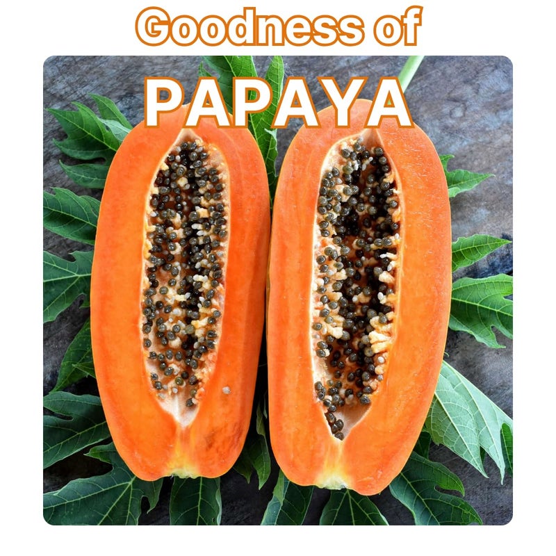 Treezio Papaya Face Wash Cleanses Exfoliates Moisturizes Skin No Paraben No Silicones For Men Women Pack of 2 100 ml Each - Image 5