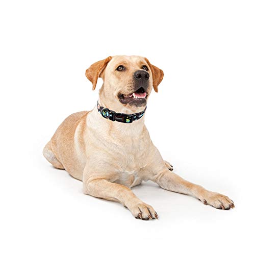 QQPETS Adjustable Soft Dog Collar: Print Flower Pink Multicolor Cute Patterns for XS Small Medium Large Pet Girl Boy Puppy Walking Running Training (L, Space) - Image 4