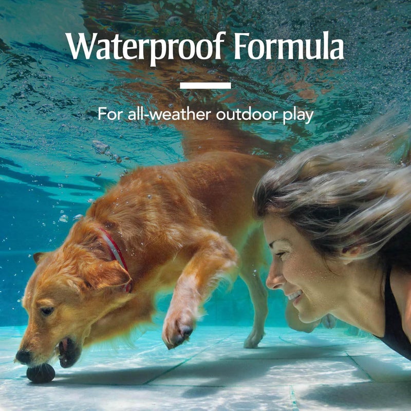 PetArmor for Dogs, Flea and Tick Treatment for Small Dogs (5-22 Pounds), Includes 6 Month Supply of Topical Flea Treatments - Image 4