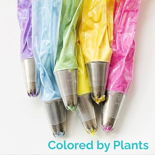 ColorKitchen Color Kitchen Food Coloring 3 Pack – Plant-based Colors, Artificial Dye-free, Gluten-free, Non-GMO, Kosher, Vegan, Colors for Frosting and Natural Healthy Baking, Soy free (3 Colors) - Image 5