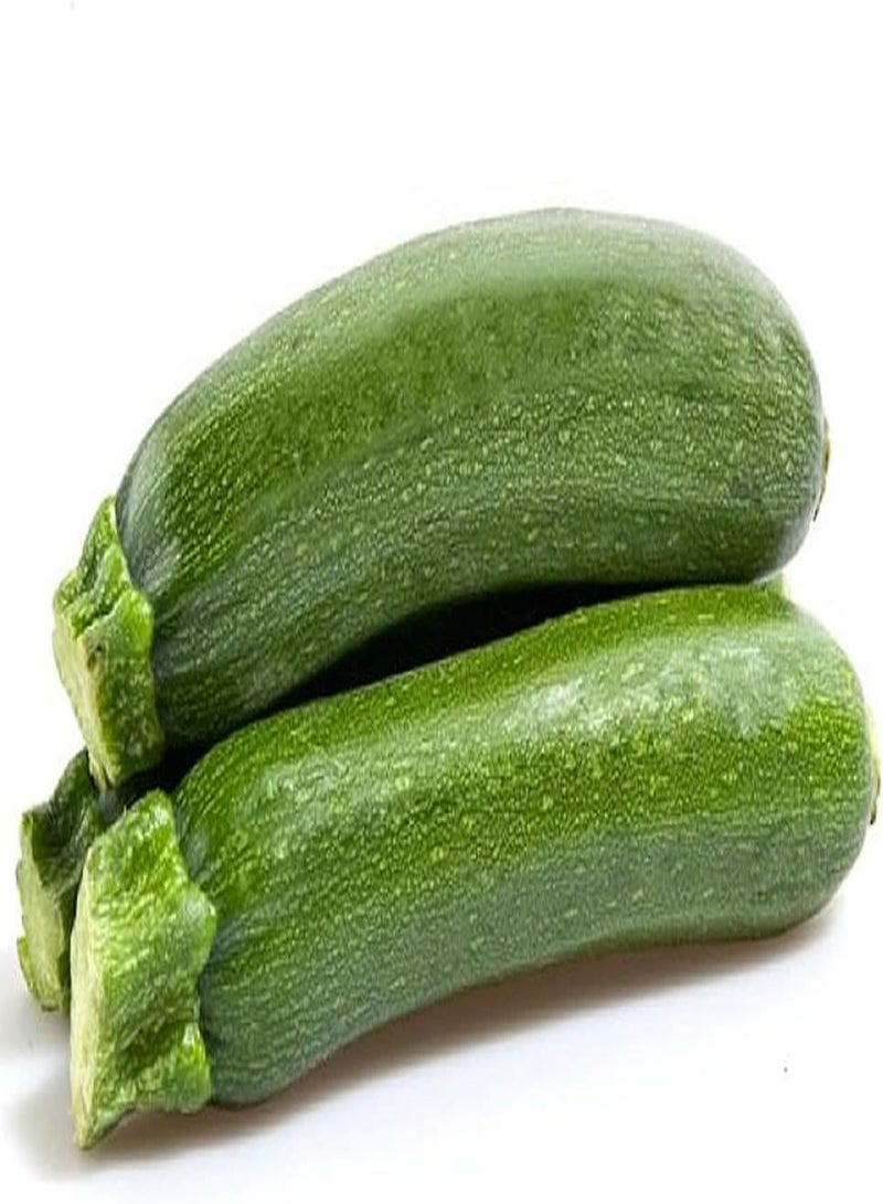 GGOOT 50pcs Annual Zucchini Seeds for Home Courtyard Planting Heirloom Squash Vegetable Add Color for Outdoor Garden Suitable for Novice Gardeners - Image 2
