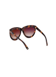 TOM FORD Women's Shield Shape Acetate Sunglasses FT111253G59 Lens Size: 59 Millimeter - Blonde Havana  - Image 5