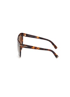 TOM FORD Women's Shield Shape Acetate Sunglasses FT111253G59 Lens Size: 59 Millimeter - Blonde Havana  - Image 4