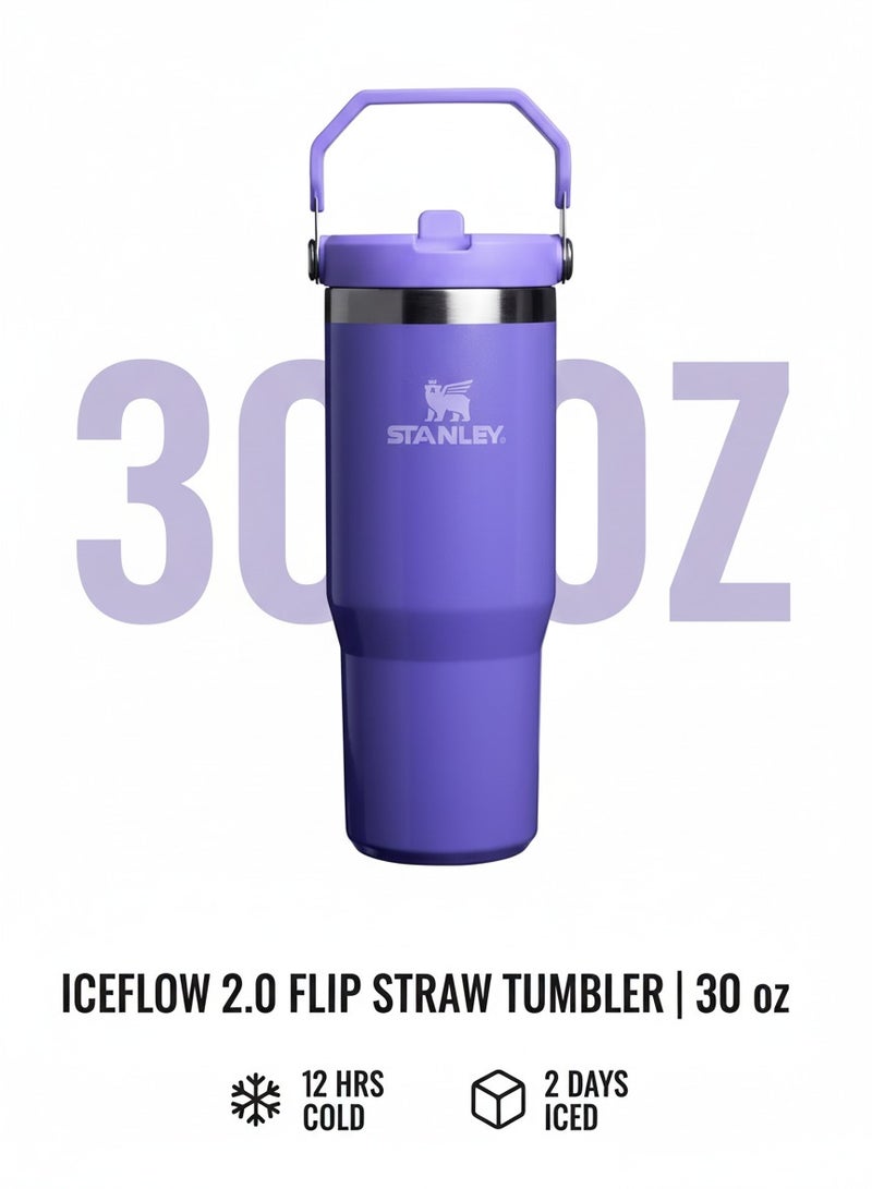 Stanley IceFlow 30oz Flip Straw Tumbler Winter Stainless Steel Vacuum Insulated Water Bottle with Leakproof Lid Foldable Handle Keeps Drinks Cold for 12 Hours - Image 4
