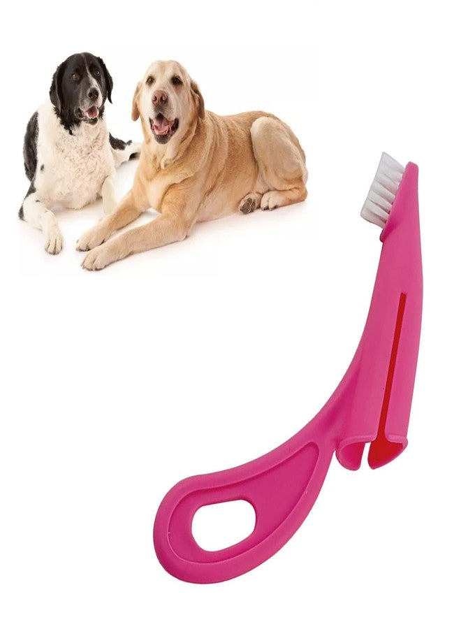 Naroote Dog Toothbrush, Tooth Brushing Kit for Dog Teeth Cleaning - Dental Care for Puppies, Cats & Small Pets, Nylon Remove Ergonomic Dog Finger Toothbrush (Red) - Image 3