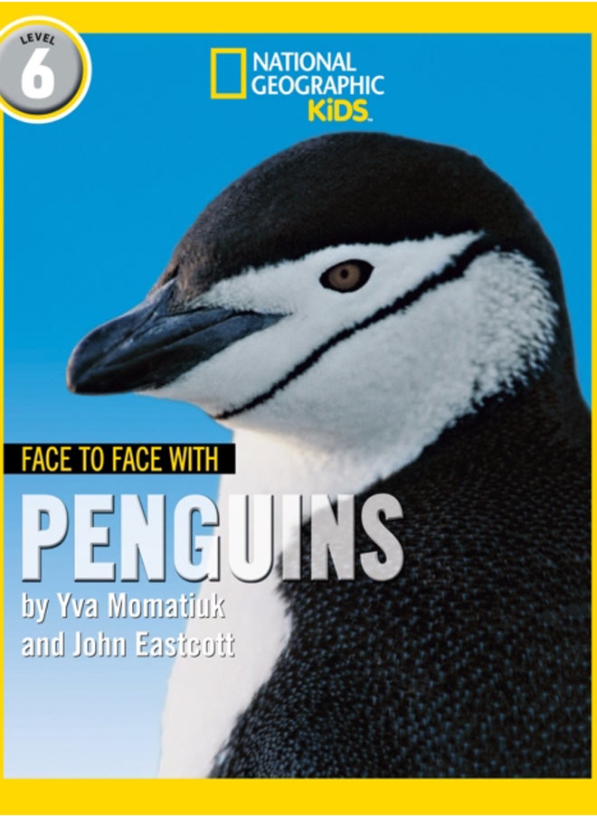 null - Face to Face with Penguins : Level 6 - Image 1
