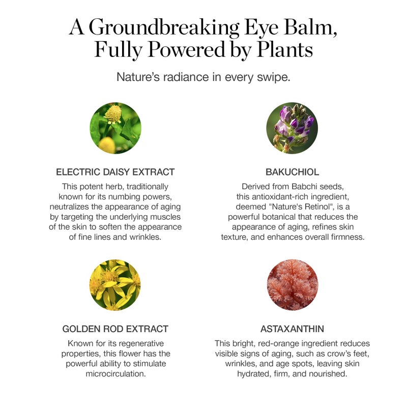 Ogee Botanical Eye Balm - Certified Organic Brightening Eye Cream for Dark Circles and Puffinesss - Made with Natural Retinol Alternative & Hyaluronic Acid - Image 2