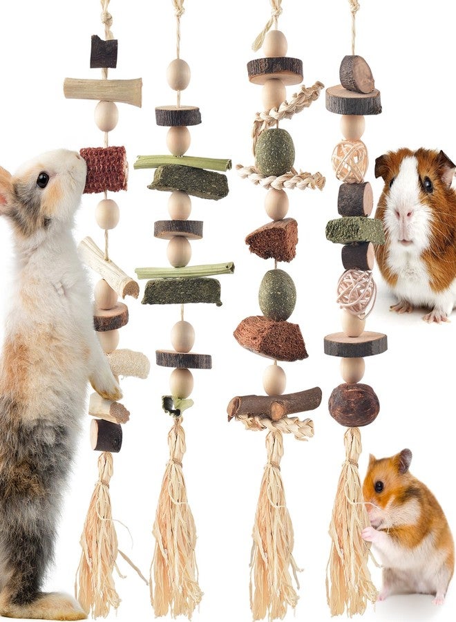 DBNESS 4 Pcs Bunny Chew Toys for Teeth, Hanging Rabbit Chewing Toy Treats with Timothy Grass & Natural Apple Wood, Improve Small Rodent Dental Health for Guinea Pig Hamster Chinchilla Rat Gerbil - Image 1