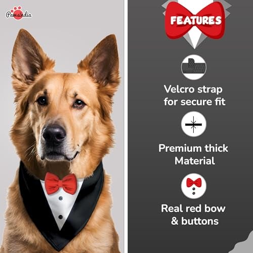 Pawsindia Tuxedo Bandana for Dogs, Crafted from Premium Fabric to Ensuring Proper Air Circulation and Adding a Touch of Trendy Style (Medium, Black) - Image 3