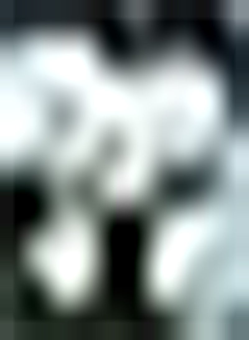 GGOOT 4Stück weiße Calla Lilien Zwiebeln die auf dem Balkon der Terrasse gepflanzt Werden schaffen eine einzigartige künstlerische Atmosphäre Ziemlich exotisch - Image 1