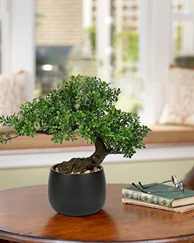 Briful Artificial Bonsai Tree Juniper Faux Plants Indoor Fake Plants Decor with Ceramic Pots for Home Table Office Desk Bathroom Shelf Bedroom Living Room Farmhouse Decorations - Image 5