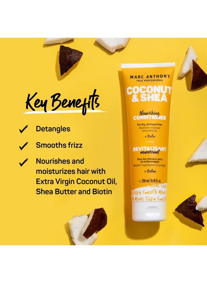 مارك أنتوني بلسم مارك أنتوني المكثف بزيت جوز الهند وزبدة الشيا - عناية مغذية ومرطبة بالبيوتين للشعر الجاف والتالف - يعيد الترطيب ويحمي الشعر - خالٍ من البارابين والكبريتات - Image 2