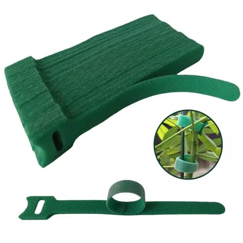CHZKVOY, Green, Reusable, 100PCS, 6 - Inch Adjustable Anti - Slip Nylon Plant Ties & Straps Featuring Hook and Loop Fasteners - Optimal for Climbing Plants Support and Christmas Garland Ties - Image 1