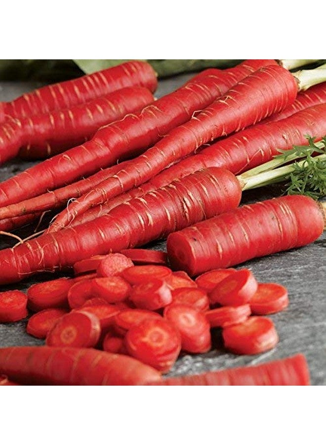 Jioo Organics Edible Carrot Seeds Gajar K Beej Vegetable Seed For Eating Skin Health Immunity Benefits Pack Of 1 (100 Gram)  - Image 3