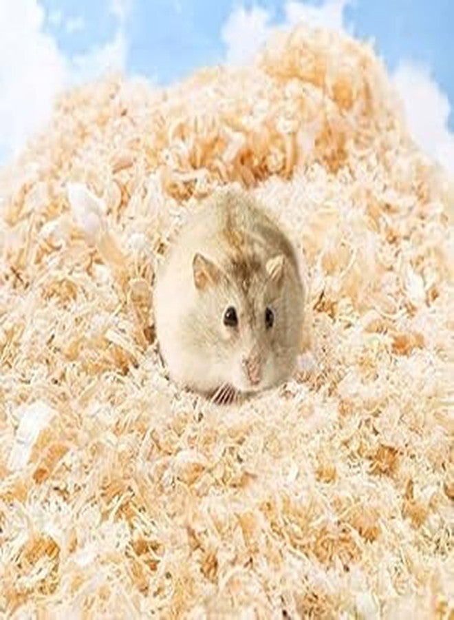 GIG BAZAAR- Pine Wood Shavings Bedding for Hamsters, Birds, Chinchillas, Guinea Pigs, Mice, Rabbits, Reptiles, Small Animals, Natural Nesting Material (1, Kilograms) - Image 1