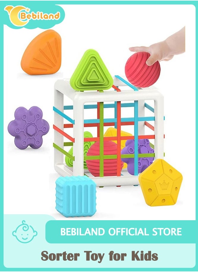 Bebiland Baby Sorter Toy with Colorful Soft Cube and 6 Multi Sensory Shapes, Toddler Developmental Learning Toys Birthday Gifts  - Image 1