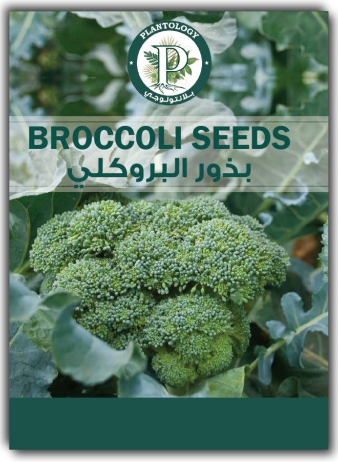 ماركة غير محددة بذور البروكلي للزراعة - بذور الخضروات للزراعة 