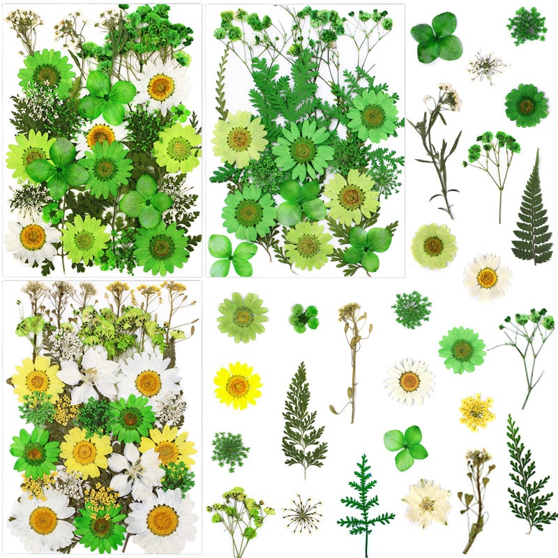 LUCISKY 84 Pcs Green Dried Pressed Flowers Real Natural Leave for DIY Resin Molds Candle Jewelry Nail Crafts Gifts