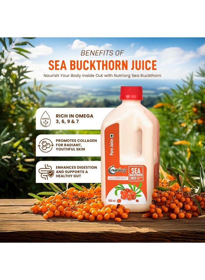 nutriorg Nutriorg SeaBuckthorn Juice 500 ml With 50 gm organic honey | Himalayan Berry | Rich in Omega 3, 6, 7, 9 & Vitamin C | Immunity Booster & Antioxidant | No Added Sugar (Free Honey) - Image 2