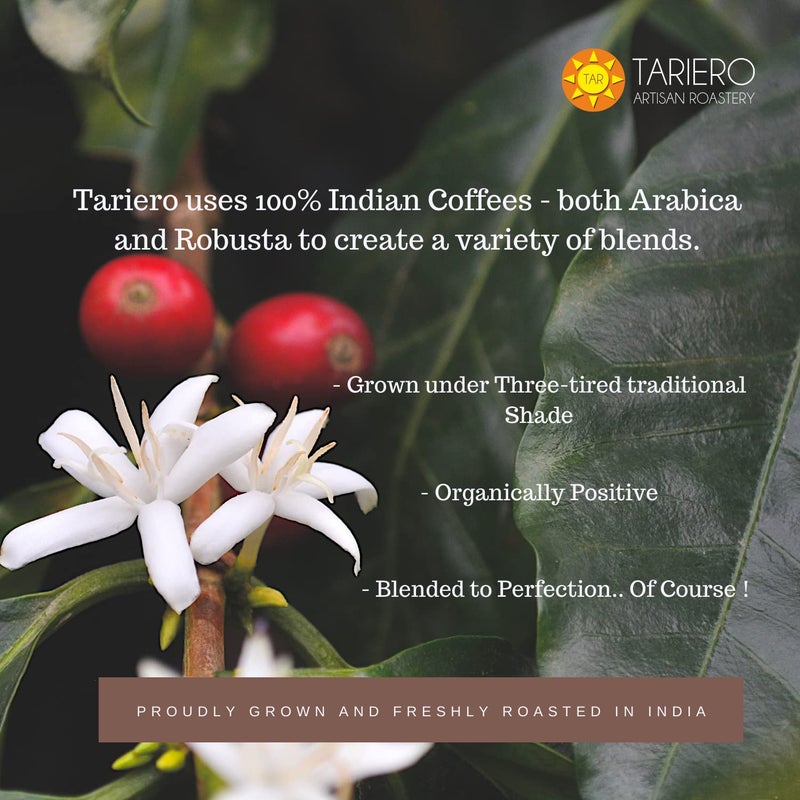 Tariero Lo-Caffeine JITTERLESS JOE Coffee | 65% DECAFFEINATED | Medium Roast | Coarse Grind (100 Gram) - Image 4