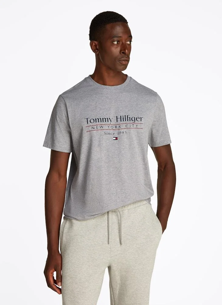 TOMMY HILFIGER Logo Crew Neck T-Shirt