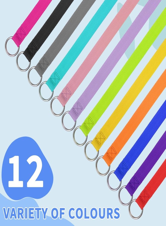 اتش او ام آي أم بي مقود انزلاقي للكلاب من هوميمب، طول 6 أقدام - 12 قطعة، ألوان متنوعة، مناسب للكلاب الصغيرة والمتوسطة والكبيرة، مثالي لإنقاذ الحيوانات الأليفة وتزيينها - مصنوع من النايلون المتين، بطول 6 أقدام، مناسب للملاجئ والعيادات البيطرية والتدريب. - Image 2